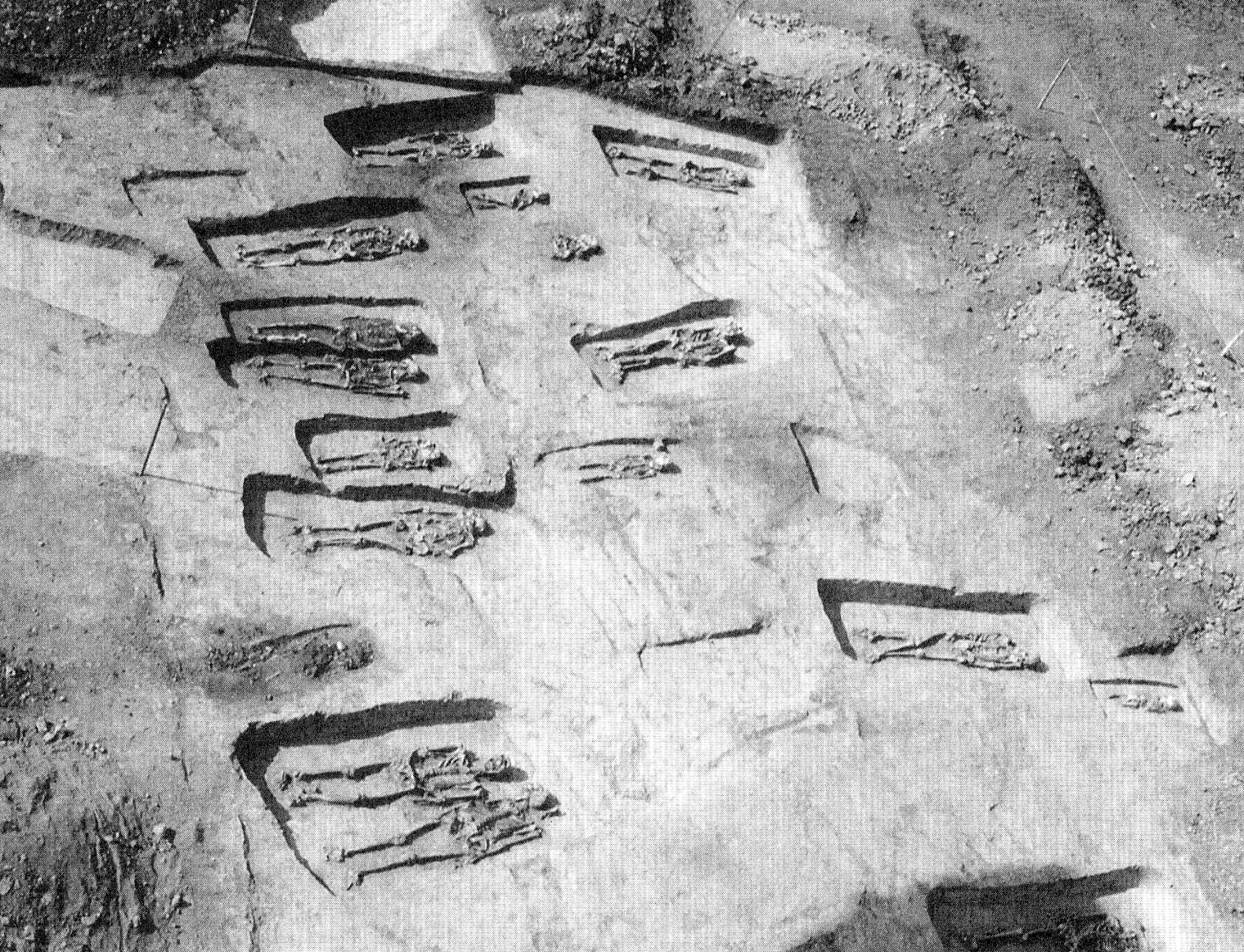 Foto odkryté mladohradištní nekropole v Určicích