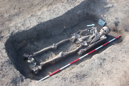 Skelet dospělého muže pohřbeného do raně středověké sídlištní jámy